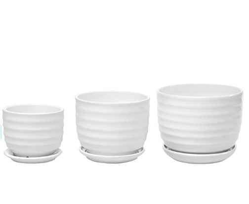 (3 PCS Set options) Ceramic Pot (White) - ring design