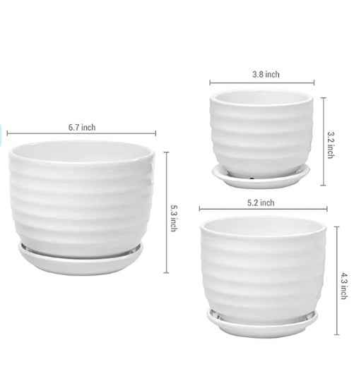 (3 PCS Set options) Ceramic Pot (White) - ring design