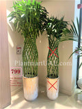 XL Braided Bamboo - CERAMIC pot