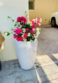 POTTED Bougainvillea Mixed Color - Ceramic Pot